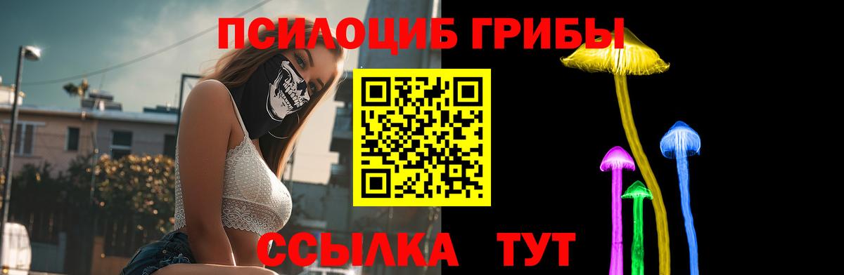 Галлюциногенные грибы Psilocybe  Вход с VPN  Севастополь  Псилоцибиновые грибы мицелий 