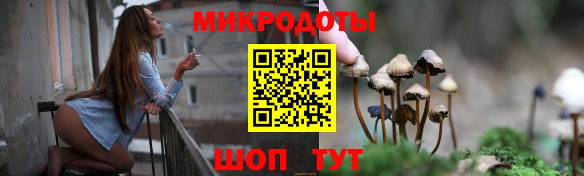 Псилоцибиновые грибы GOLDEN TEACHER Севастополь