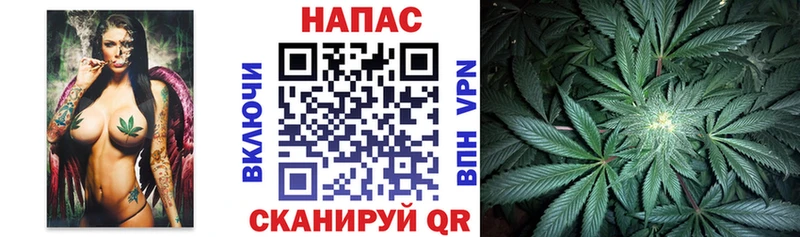 МАРИХУАНА семена  Севастополь 